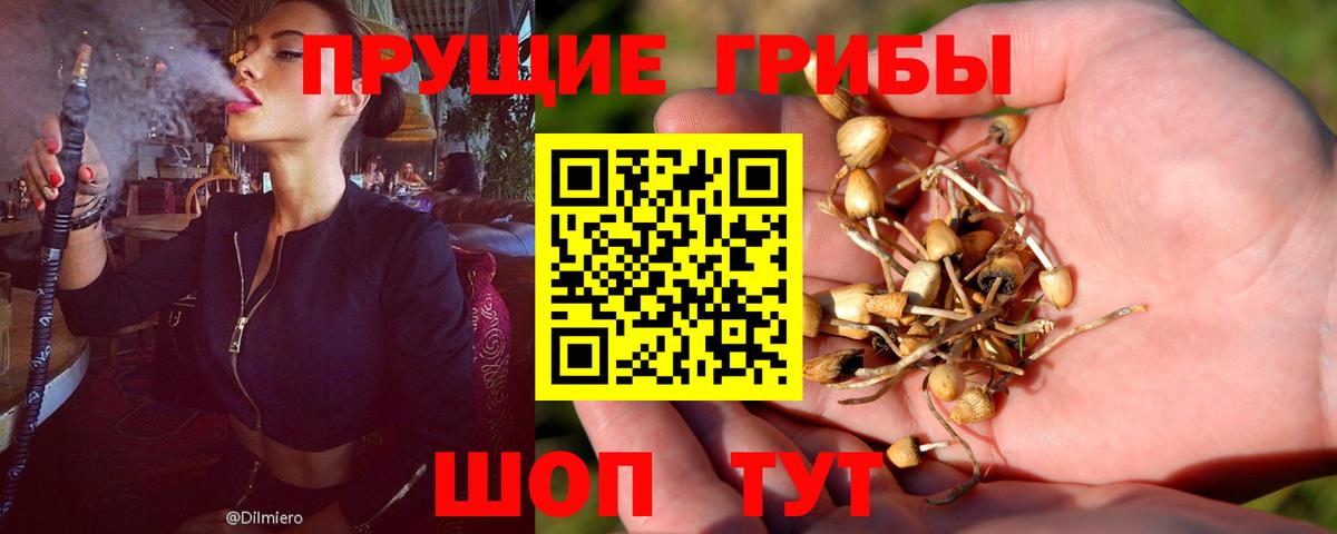 Тихвин  Псилоцибиновые грибы мухоморы  Вход с VPN 